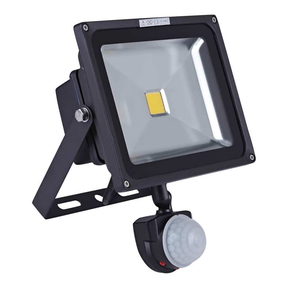 Biard Projecteur LED 30 Watts avec détecteur