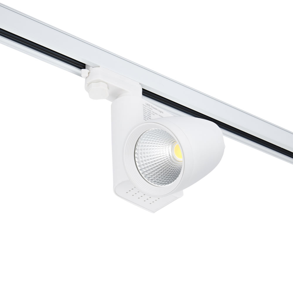Biard Spot LED 25W triphasé Blanc Oval