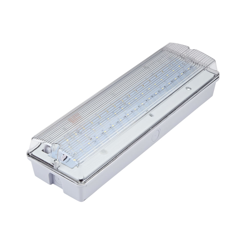 Biard Lampe de secours LED bureau et bâtiments publics 7,5W