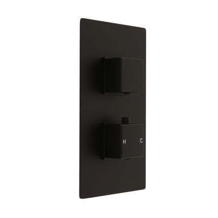Mitigeur douche thermostatique avec inverseur - 2 fonctions - Noir - Preto