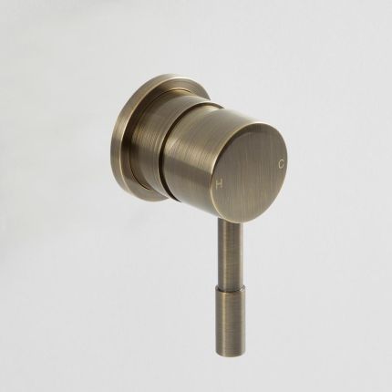 Mitigeur de douche moderne – 1 fonction – Laiton brossé - Clarus