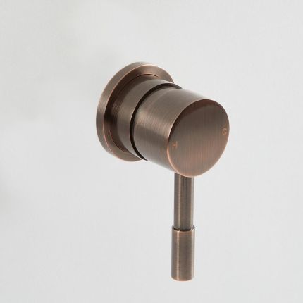 Mitigeur de douche moderne – 1 fonction – Bronze brossé - Amara