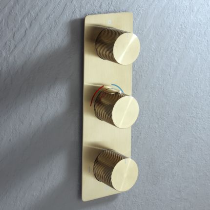 Mitigeur de douche thermostatique avec inverseur - Choix de finitions – 3  fonctions - Lune