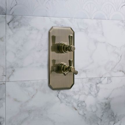 Mitigeur de douche double thermostatique – 1 fonction – Choix de finitions – Earlham