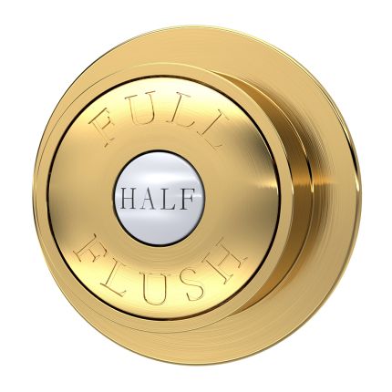 Plaque de déclenchement double ronde rétro - À bouton poussoir – Laiton brossé – Hudson Reed