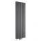 Radiateur design vertical – Raccordement central – Anthracite – 178 cm x 59 cm – Double rangs – Vitality Caldae