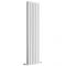 Radiateur design vertical - 160 cm x 42 cm - Blanc - Double rang - Delta