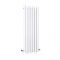 Radiateur aluminium design vertical – Blanc – 160 cm x 55 cm - Laeto