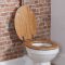 Cuvette WC avec réservoir haut et abattant – Charnières bronze huilé – Richmond
