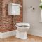 WC rétro à poser avec réservoir semi-bas et abattant en bois – Blanc - Richmond