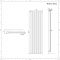 Radiateur design vertical – Anthracite – 178 cm x 42 cm – Salisbury