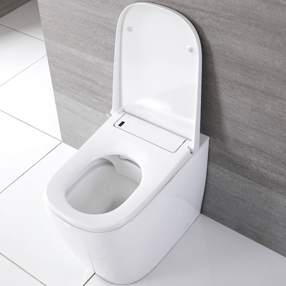 WC japonais suspendu avec bâti-support haut – Plaque de