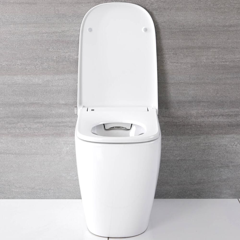 WC japonais à poser - Hirayu