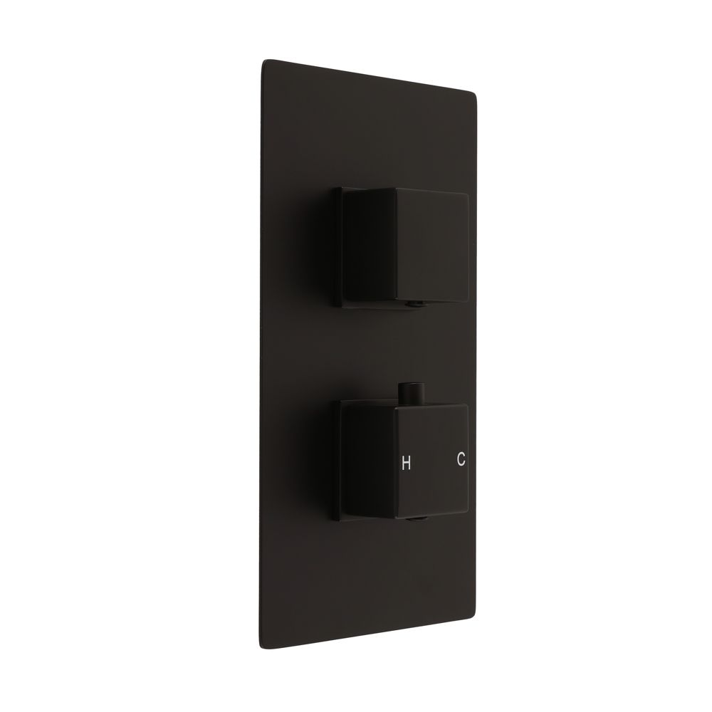 Mitigeur douche thermostatique avec inverseur - 2 fonctions - Noir - Preto