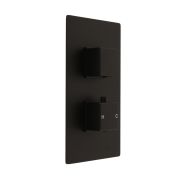 Mitigeur douche thermostatique avec inverseur - 2 fonctions - Noir - Preto
