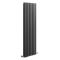 Radiateur design vertical – Anthracite – 178 cm x 47,2 cm  – Rang double – Vitality