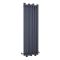 Radiateur aluminium design vertical – Anthracite – 180 cm x 55 cm - Laeto