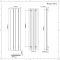Radiateur design vertical - 160 cm x 37,5 cm - Anthracite - Aluminium - Raccordement central - Aurora