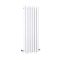 Radiateur aluminium design vertical – Blanc – 160 cm x 55 cm - Laeto