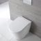 Cuvette WC ronde à poser avec abattant à fermeture douce – Blanc – Alswear