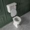 Cuvette WC avec réservoir semi-bas et abattant blanc – Hauteur confortable – Choix de finitions du kit de chasse d’eau - Richmond