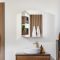 Armoire de salle de bain avec miroir - 75 cm x 60 cm - Raya