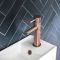 Mitigeur lavabo monotrou – Bronze brossé – Amara