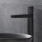 Mitigeur lavabo haut à bouton poussoir - Noir - Idro