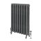 Radiateur fonte fleuri – 95 cm – Graphite antique – Tailles multiples - Charlotte