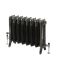 Radiateur fonte fleuri - 95 cm - Fonte polie - Choix de Tailles - Charlotte