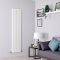 Radiateur design vertical à panneau plat – Choix de finitions et de tailles – Alpha