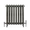 Radiateur fonte fleuri - 76,8 cm – Laiton antique – Tailles multiples - Charlotte