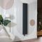 Radiateur électrique design plat – Vertical – Anthracite – 180 cm – Choix de tailles et de thermostat Wi – Fi et options de câblage ou sur prise – Ria – ECOSO par Hudson Reed