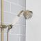 Flexible de douche en laiton – 150 cm – Laiton brossé