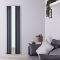 Radiateur design vertical – 180 cm x 49,9 cm – Anthracite – Rang simple ou double – Vitality