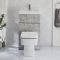 WC avec lave mains - Gris béton - 50 cm x 89 cm - Bouton de chasse chromé - Cluo-Exton