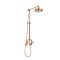 Colonne de douche industrielle mécanique - Pommeau de douche et douchette – Cuivre satiné – Zandra
