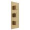 Mitigeur douche thermostatique triple - 2 fonctions - Or satiné - Lyra