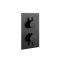 Mitigeur thermostatique encastrable noir - Nox - 2 fonctions