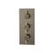 Mitigeur de douche thermostatique moderne – 2 fonctions – Laiton brossé - Clarus