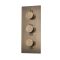 Mitigeur de douche thermostatique avec inverseur – 3 fonctions – Laiton brossé - Clarus