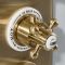 Mitigeur de douche thermostatique rétro encastré – 2 fonctions – Or satiné – Elizabeth