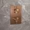 Mitigeur douche thermostatique encastrable avec inverseur - 2 fonctions - Choix de finitions - Otto