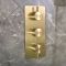 Mitigeur douche thermostatique encastrable - 2 fonctions - Choix de finitions - Otto
