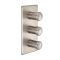 Mitigeur de douche thermostatique - 3 Fonctions - Aldwick
