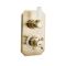Kit de douche thermostatique rétro – 1 fonction - Pommeau rond Ø 15.5 cm et bras mural – Or satiné – Elizabeth