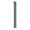 Radiateur design électrique vertical – Anthracite – 178 cm x 23,6 cm – Avec thermostat bluetooth intégré – Câblé – Vitality Slim – ECOSO par Hudson Reed