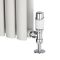Robinet de radiateur thermostatique - Blanc & chromé - Choix d'adaptateurs