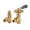 Robinets de radiateur d’angle thermostatiques (paire) – Choix de finitions