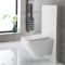 Meuble WC avec WC sans bride Exton - Blanc – 50 cm - Saru